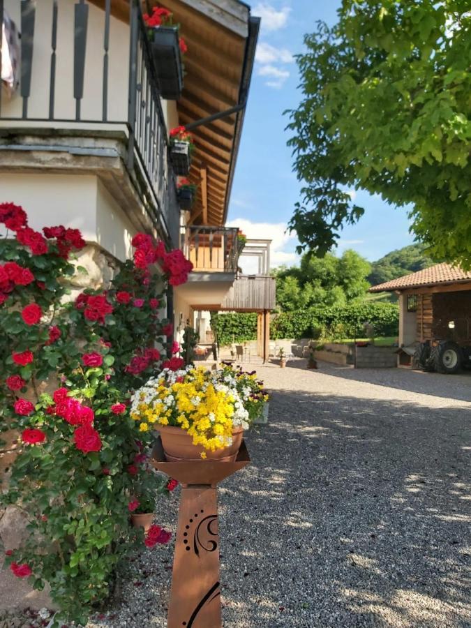 Versigglhof Appiano Sulla Strada Del Vino Exterior photo