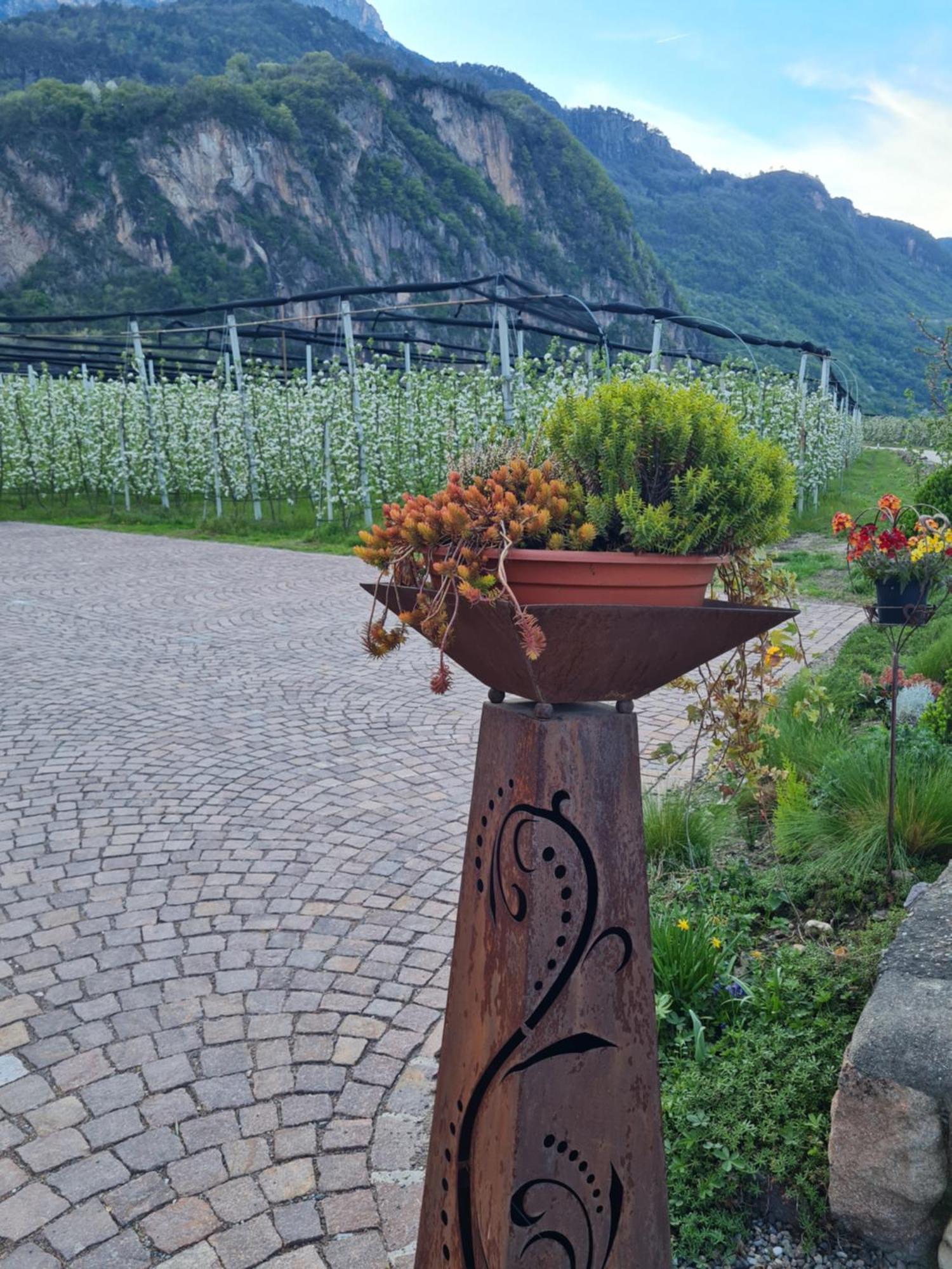 Versigglhof Appiano Sulla Strada Del Vino Exterior photo