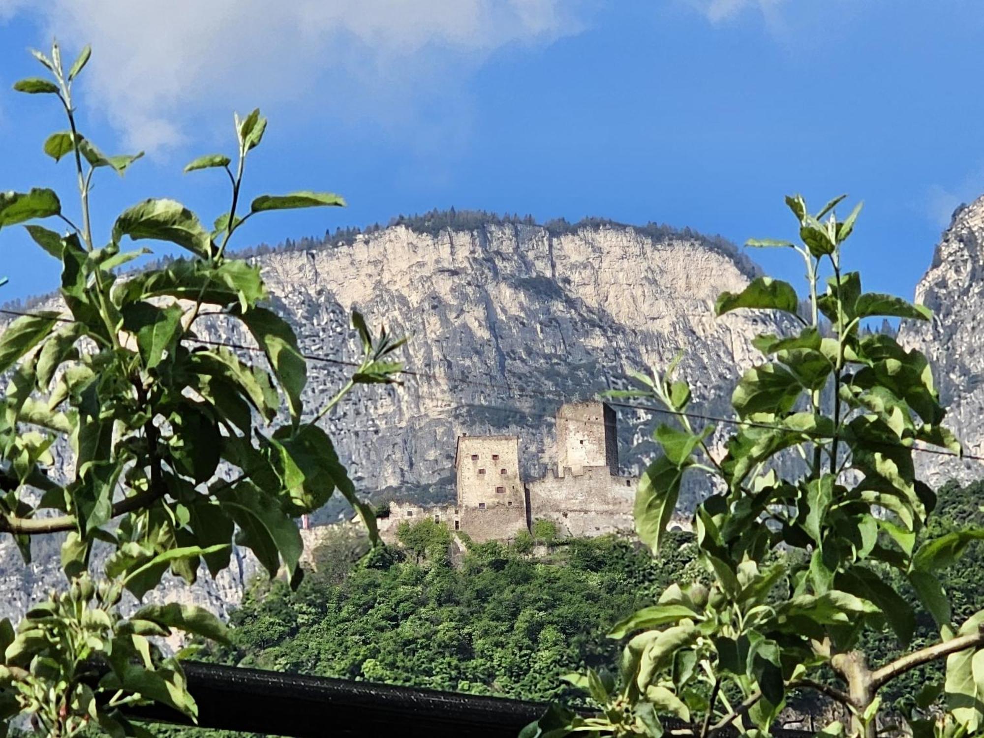 Versigglhof Appiano Sulla Strada Del Vino Exterior photo